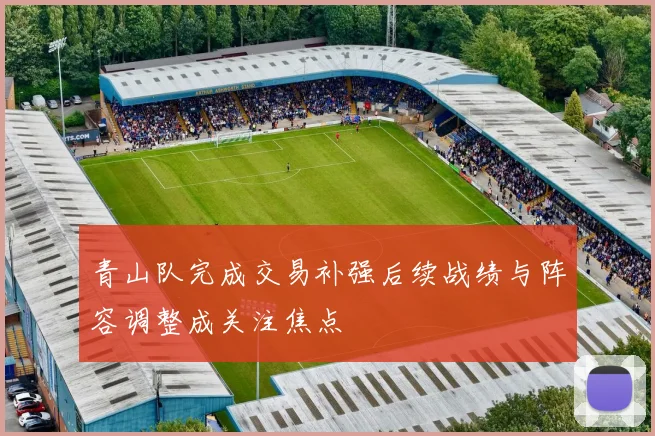 青山队完成交易补强后续战绩与阵容调整成关注焦点