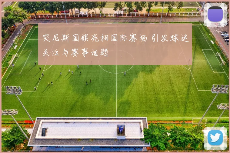 突尼斯国旗亮相国际赛场 引发球迷关注与赛事话题