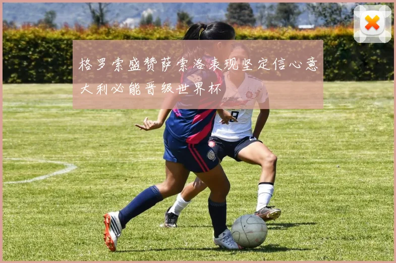 格罗索盛赞萨索洛表现坚定信心意大利必能晋级世界杯