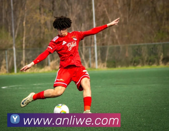 九游网页版入口官网平台生态图